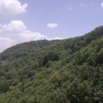 Shimla: Hiking Tour to Taradevi Hill with Local Driver Guide - The Details of the Hiking Tour