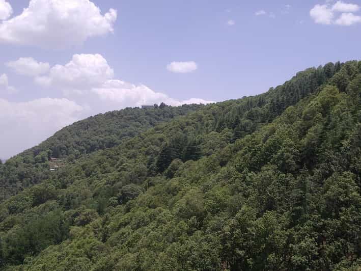 Shimla: Hiking Tour to Taradevi Hill with Local Driver Guide - The Details of the Hiking Tour