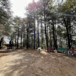 Shimla: Wildlife Sanctuary & Water Catchment Guided Tour - Who Should Consider This Tour?