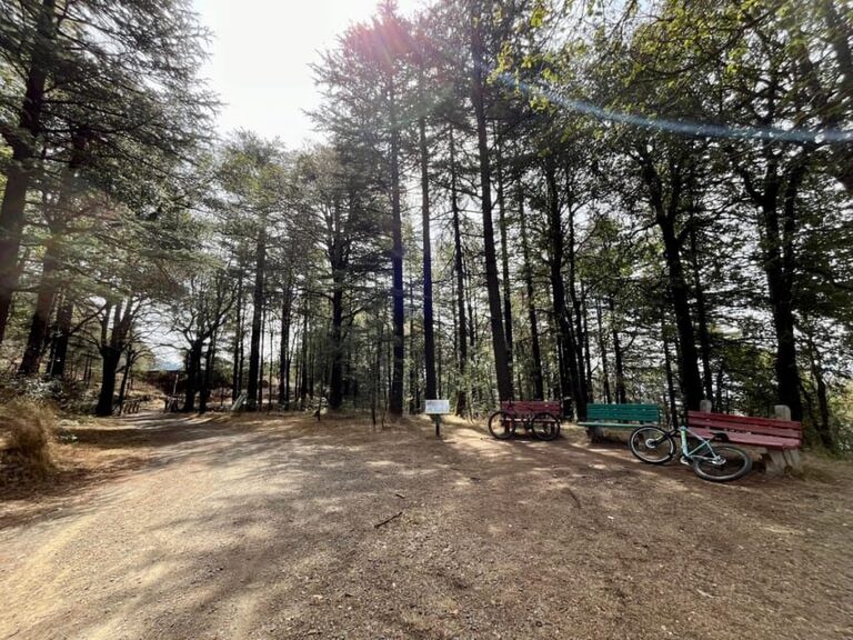 Shimla: Wildlife Sanctuary & Water Catchment Guided Tour - Who Should Consider This Tour?