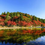 Shin-Toyota: Korankei/Obara Bus Tour with Persimmon Tasting - FAQ