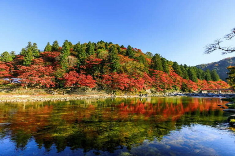 Shin-Toyota: Korankei/Obara Bus Tour with Persimmon Tasting - FAQ