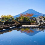 Shine Muscat Buffet, Fuji Ice Cave & Oshino Hakkai Day Tour - An In-Depth Look at the Tour