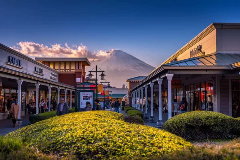 Shinjuku: Mount Fuji Panoramic View and Shopping Day Tour - A Closer Look at the Tour Itinerary and Highlights