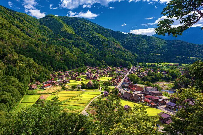 Shirakawago Day Trip: Government Licensed Guide & Vehicle from Takayama - Who Would Love This Tour?