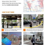 Shirakawago&HidaTakayama&GujoHachiman 1 Day Tour from Nagoya - Who Will Love This Tour?