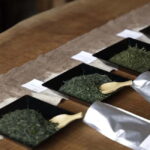 Shizuoka: Japanese Tea Tour with Tasting and Tea Making - A Practical Guide to the Shizuoka Tea Tour