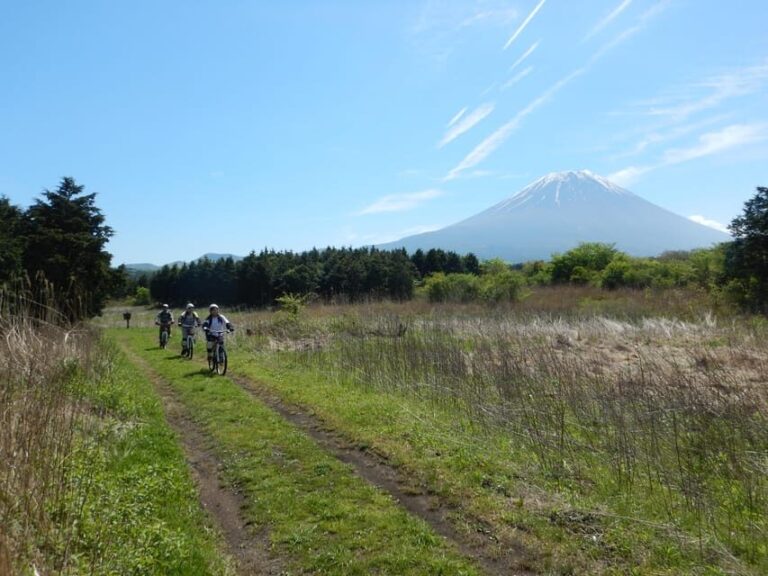 Shizuoka : Private Adventure E-bike Tour around Mt Fuji - A Deeper Look at the Itinerary and Experience