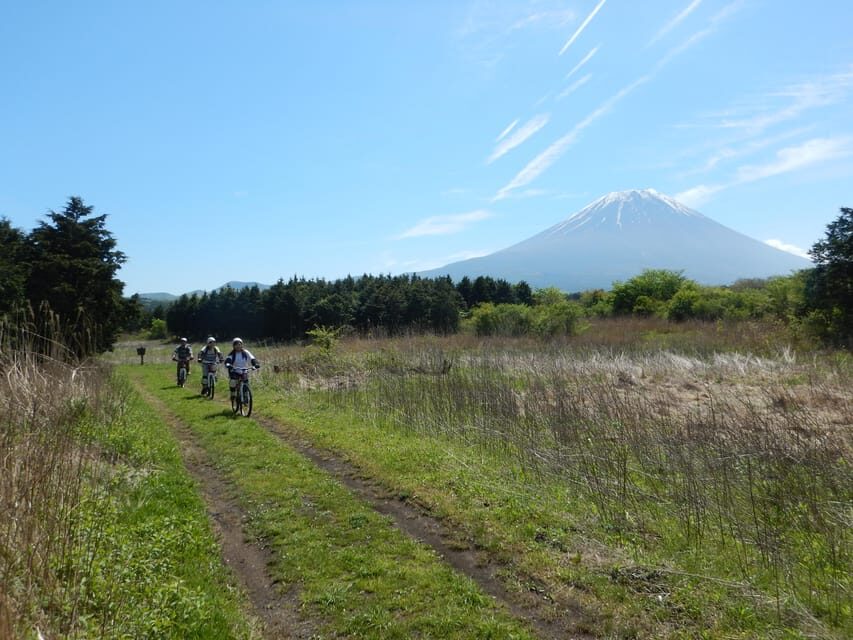 Shizuoka : Private Adventure E-bike Tour around Mt Fuji - A Deeper Look at the Itinerary and Experience