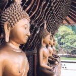 Shore Excursion Colombo City Tour - In-Depth Review of the Colombo Shore Excursion