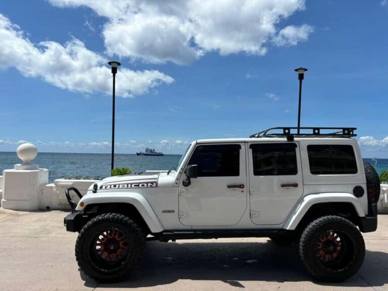 Shore Excursion: Cozumel Island Jeep Tour with Beach Visit - Why Choose This Tour?