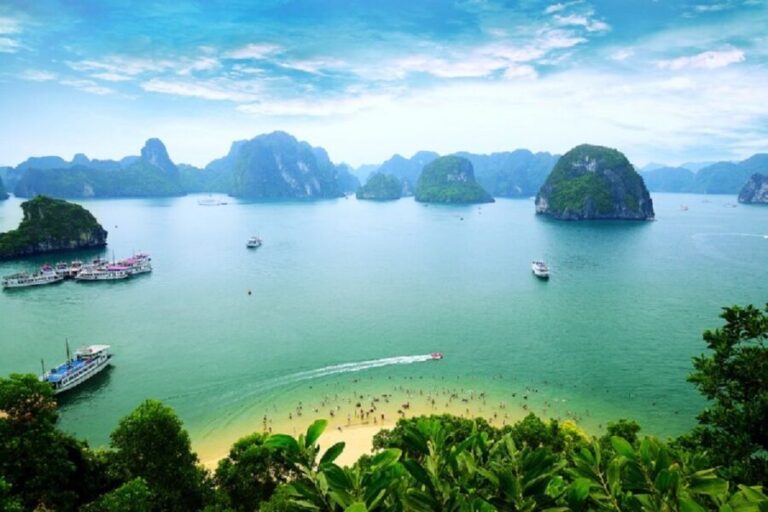 Shore Excursion: Halong Bay cruise day trip from Halong Port - Who is this tour best suited for?