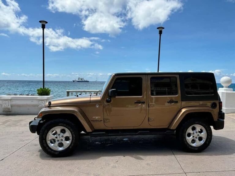 Shore Excursion: Jeep Tour to Punta Sur Park with Lunch - The Value of This Experience