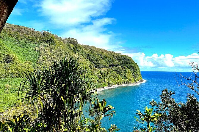 Shore Excursion of Maui - The Value of the Experience