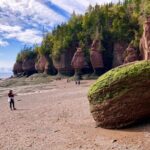 Shore Excursion to Hopewell Rocks and Fundy National Park - What to Expect from the Tour