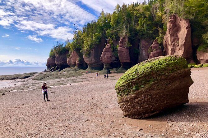 Shore Excursion to Hopewell Rocks and Fundy National Park - What to Expect from the Tour
