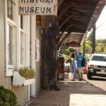 Shore Excursion Zipline Tour for Pride Of America Passengers - Who Should Consider This Tour?