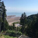 Shore Tours - Authentic Traveler Experiences