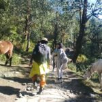 Short Day Trek: Pothana & Australian Camp from Pokhara - Who This Tour Is Best For