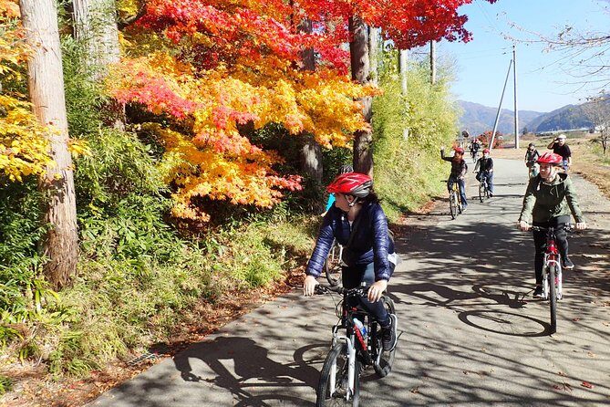 Short Morning Cycling Tour in Hida - Who Is This Tour Perfect For?
