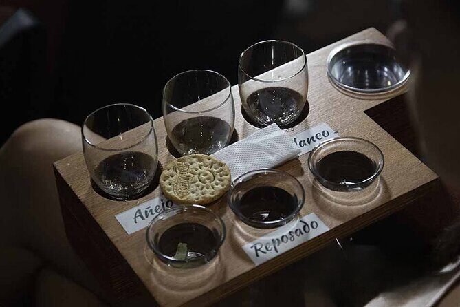 Show Mayahuel + Tequila Tasting - Who Should Consider This Tour?