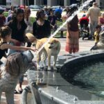 Show me the City! A Small Group Walking Tour of Toronto - Who Should Consider This Tour?