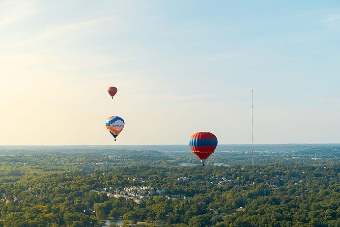 Shuttle Service to Forest Park Balloon Glow - Why This Tour Offers Good Value
