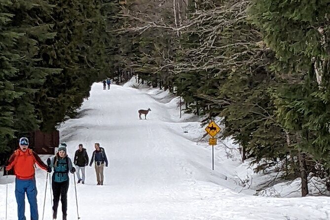 Shuttle to Snoqualmie Pass Ski and Snowboard - The Sum Up