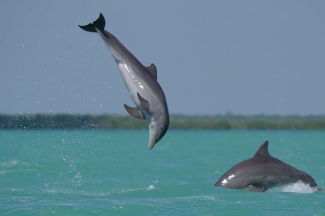 Sian Ka'an Classic - Lunch and Leisure in Punta Allen