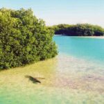 Sian Kaan Reserve Private Bike Tour - Exploring the Sian Kaan Reserve Private Bike Tour in Detail