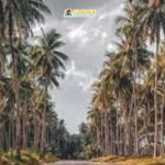 Siargao: Land Tour - Exploring Siargao’s Land Tour in Detail