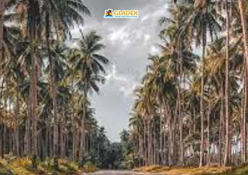 Siargao: Land Tour - Exploring Siargao’s Land Tour in Detail