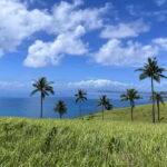 Siargao: Private Corregidor Island Tour - Who Should Consider This Tour?