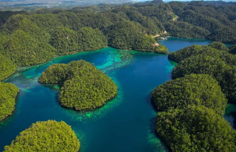 Siargao: Sohoton and Non-Sting Jellyfish Sanctuary Tour - The Practicalities: What You Need to Know