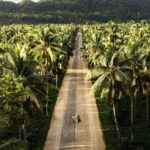 Siargao Tour D (Private Tour) - Deep Dive into the Experience