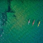 Sick Day Midweek Kayak Tour on Tomales Bay - Exploring the Experience in Detail