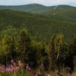 Side by Side ATV Fall Tour - The Experience in Context