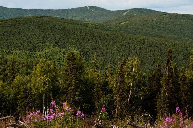 Side by Side ATV Fall Tour - The Experience in Context