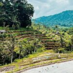 Sidemen Trekking: A Walk from Different Perspective - What’s Included and What’s Not