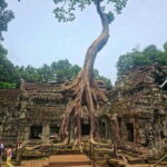 Siem Reap: 1-day group tour of Angkor with Spanish tour guide - Why You Should Consider This Tour