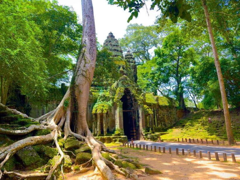 Siem Reap: 2-Days Angkor Wat with Sunrise Small-Group Tour - What You Can Expect: Practical Details and Experience