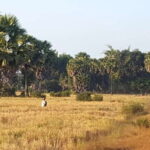 Siem Reap: 3-Hour Ancient Trails Motorbike Tour - What Makes This Tour Stand Out