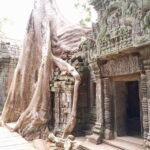 Siem Reap: 4 Hour-Ta Prohm and Banteay Kdei Guided Tour - Why Choose This Tour?