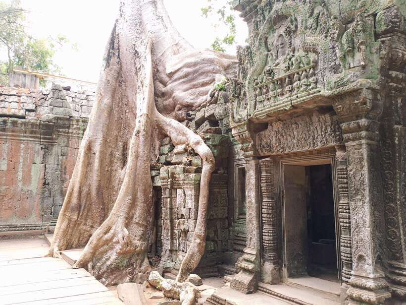 Siem Reap: 4 Hour-Ta Prohm and Banteay Kdei Guided Tour - Why Choose This Tour?