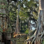 Siem Reap: Angkor Wat: Small-Group Sunrise or Sunset Tour - The Sum Up