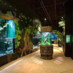 Siem Reap: Angkor Wildlife & Aquarium Entrance Ticket - A Detailed Look at the Experience