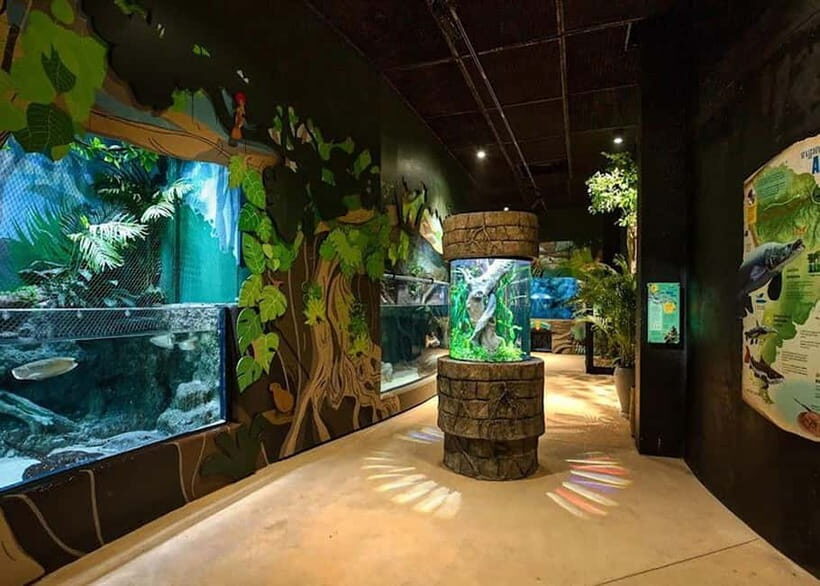 Siem Reap: Angkor Wildlife & Aquarium Entrance Ticket - A Detailed Look at the Experience