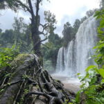 Siem Reap: Beng Mealea, Banteay Srei & Kulen Waterfall Trip - What This Tour Means for You