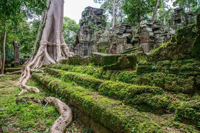 Siem Reap Bike the Angkor Temples Guided Tour with Lunch - Who Will Love This Tour?