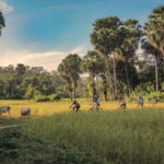 Siem Reap: Countryside Guided Tour by Bike and E-Bike - A Closer Look at the Siem Reap Countryside Bike and E-Bike Tour